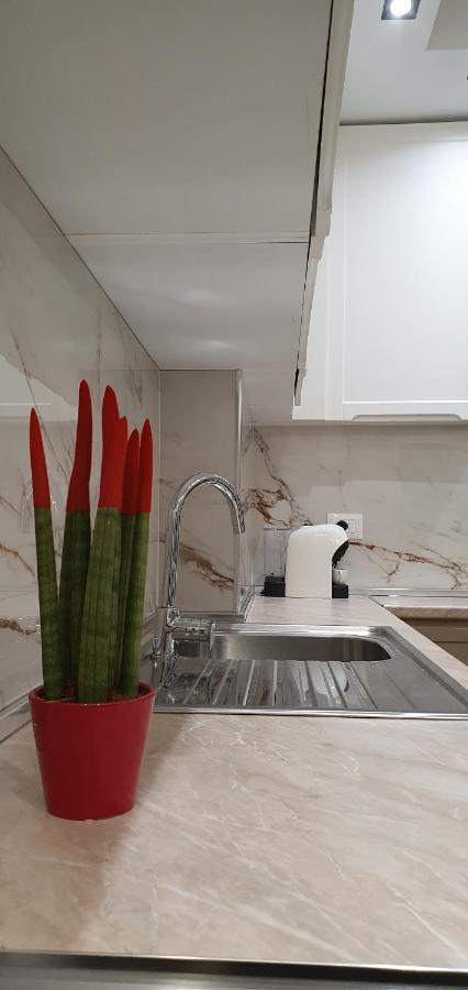 Luxury Drijon Apartments 3J Shkodër Eksteriør billede